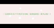 边境牧羊犬3个月养护全攻略保姆级教程新手必看