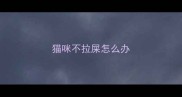 猫咪不拉屎怎么办