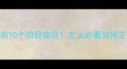 金毛犬临终前10个泪目症状主人必看如何正确陪伴