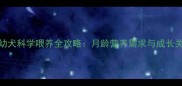3个月比熊幼犬科学喂养全攻略月龄营养需求与成长关键期管理