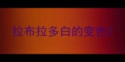 拉布拉多白的变色