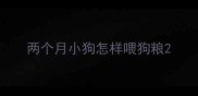 两个月小狗怎样喂狗粮