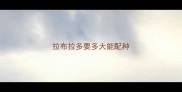 拉布拉多要多大能配种