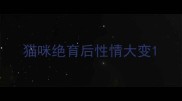 猫咪绝育后性情大变