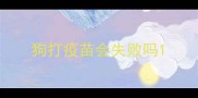 狗打疫苗会失败吗