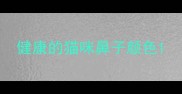 健康的猫咪鼻子颜色