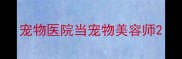 宠物医院当宠物美容师