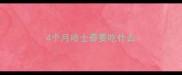 4个月哈士奇要吃什么