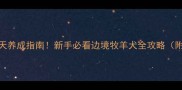 边牧到家30天养成指南新手必看边境牧羊犬全攻略附用品清单