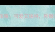 必看女泰迪犬起名全攻略可爱又独特附赠起名技巧和避坑指南