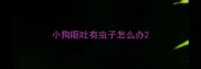 小狗呕吐有虫子怎么办