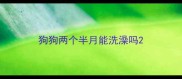 狗狗两个半月能洗澡吗