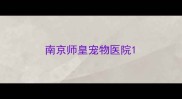 南京师皇宠物医院