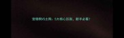 宠物狗VS土狗5大核心区别新手必看