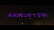 羅威納混哈士奇狗