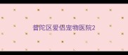 普陀区爱侣宠物医院