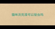 猫咪洗完澡可以驱虫吗