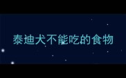 泰迪犬不能吃的食物