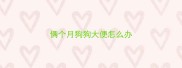 俩个月狗狗大便怎么办