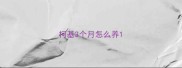 柯基3个月怎么养