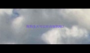 狗狗多大可以吃自制狗粮