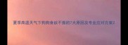 夏季高温天气下狗狗食欲不振的7大原因及专业应对方案