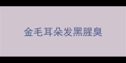 金毛耳朵发黑腥臭