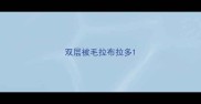 双层被毛拉布拉多