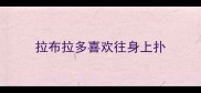 拉布拉多喜欢往身上扑