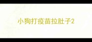 小狗打疫苗拉肚子