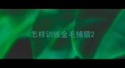 怎样训练金毛捕猎
