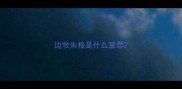 边牧失格是什么意思