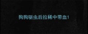 狗狗驱虫后拉稀中带血