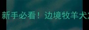 边牧如厕训练全攻略新手必看边境牧羊犬定点上厕所保姆级教程