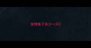 宠物兔子多少一只