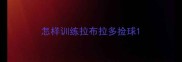 怎样训练拉布拉多捡球