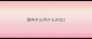 猫咪外出用什么好处