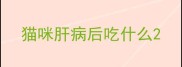 猫咪肝病后吃什么