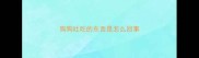狗狗吐吃的东西是怎么回事