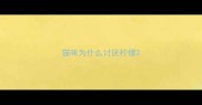 猫咪为什么讨厌柠檬