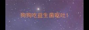 狗狗吃益生菌呕吐
