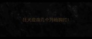 狂犬疫苗几个月给狗打