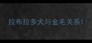 拉布拉多犬与金毛关系