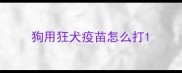 狗用狂犬疫苗怎么打