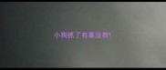 小狗抓了有事没有