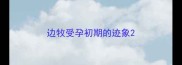 边牧受孕初期的迹象