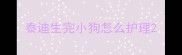 泰迪生完小狗怎么护理