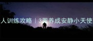 哈士奇不扑人训练攻略3周养成安静小天使的实战指南