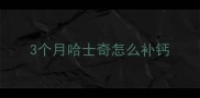 3个月哈士奇怎么补钙