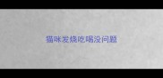 猫咪发烧吃喝没问题